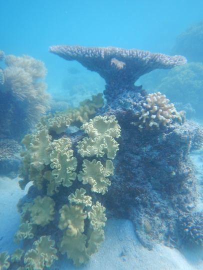 18766620_10155009071083141_3444208577486826067_o