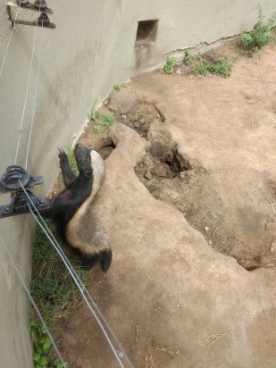 IMG_20180326_104209735