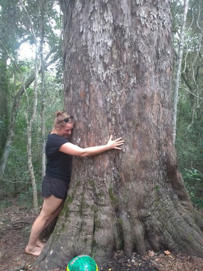 IMG_20180412_145006547